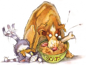 Contact, Animals, illustrations created with oils, woofers, drawing elephants, arts award discover