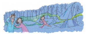 Skunk Attack!