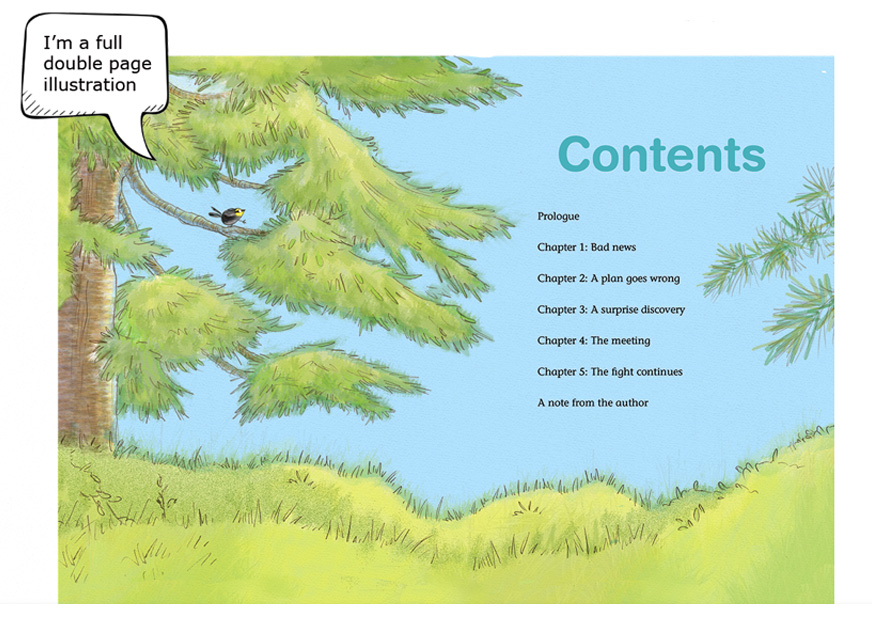 Self Publisher