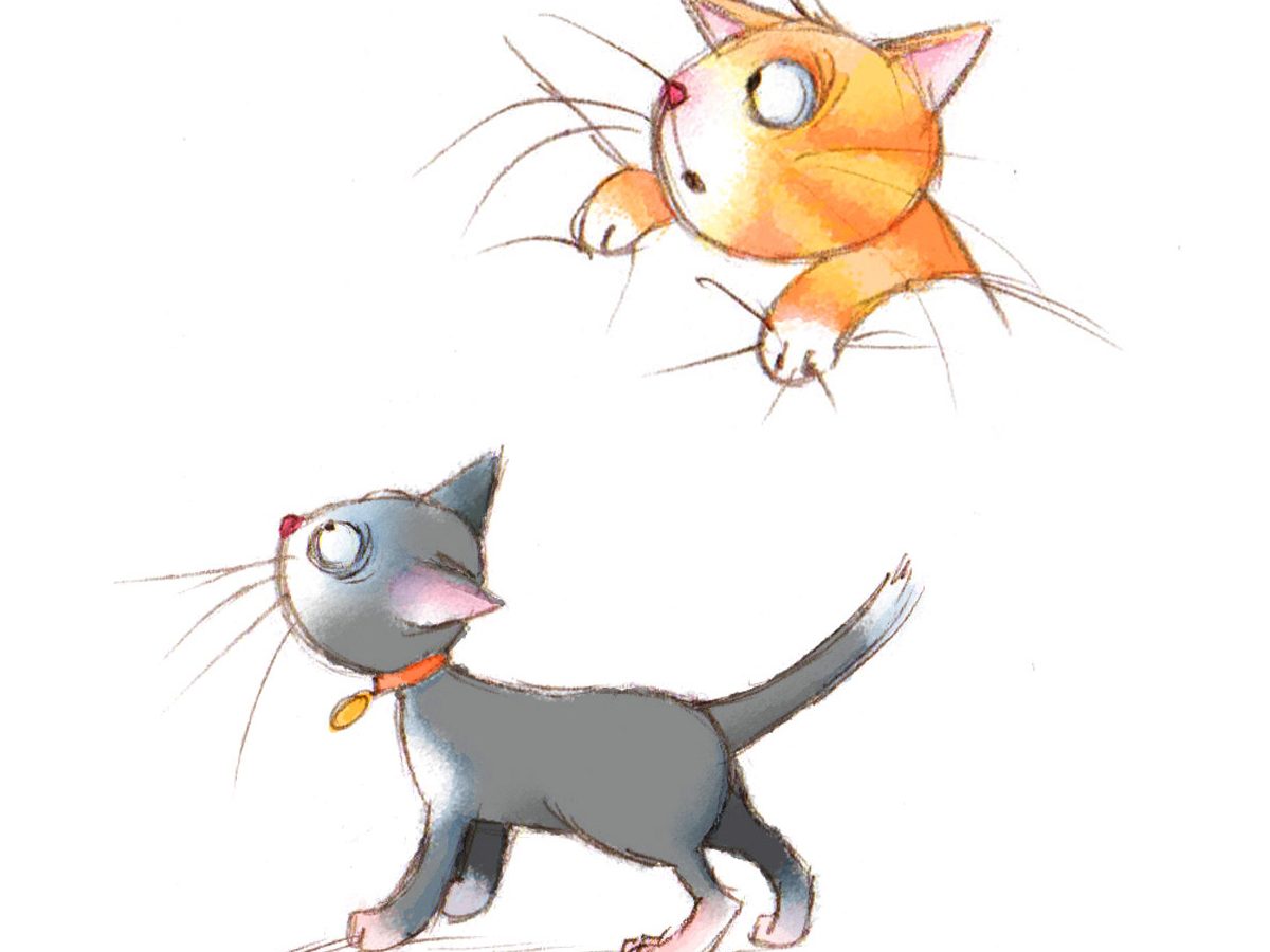 Cats